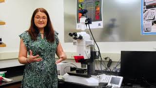🔬V16 Microscope Tour