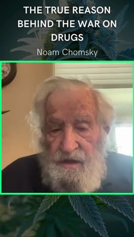 Noam Chomsky on The Real Reason Behind The War on Drugs