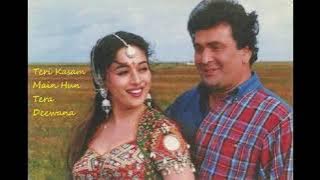 Teri Kasam Main Hun Tera Deewana Song | Prem Granth | Rishi Kapoor | Madhuri Dixit | Vinod Rathod