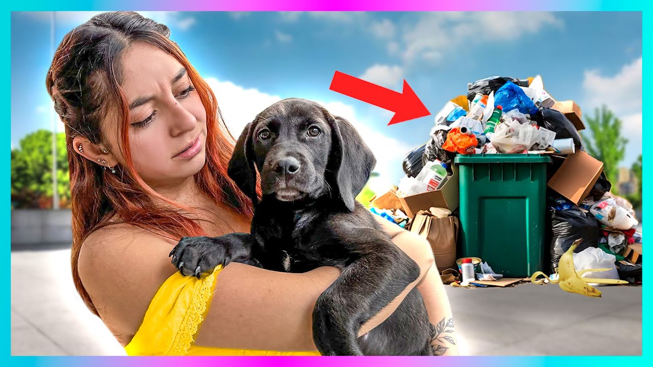 ¡ENCONTRÉ un CACHORRITO en el BASURERO! * Lo ADOPTAMOS
