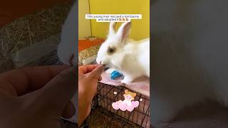 This young man rescued a lost bunny and adopted it #shorts