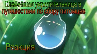 Реакция 7/Слабейшая укротительница в путешествии по сбору питомцев