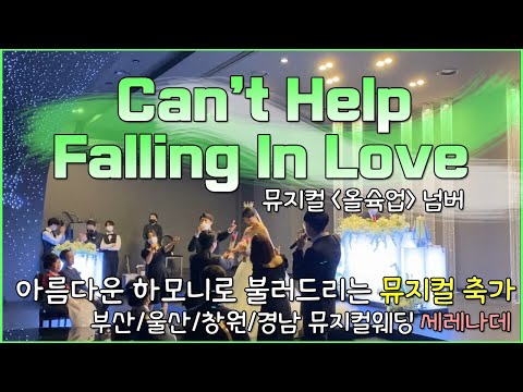 Can't Help Falling In Love 부암 w스퀘어 뮤지컬축가