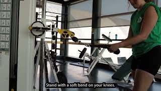 Standing Cable Row