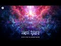 Silent sphere  synthetic emotions original mix