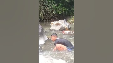 MENANGKAP IKAN DI SUNGAI PAKE TANGAN KOSONG😱KOKODOK😱MANCING RECEH87 #Shorts