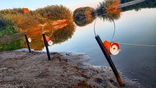 Сделал из зимних жерлиц ЗАКИДУШКИ и НАЛОВИЛ РЫБЫ! Флажки стреляют! Рыбалка на реке 2021.