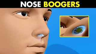 ماهي وظيفة مخاط وشعر الأنف!!_?What is the function of nasal Boogers and hair