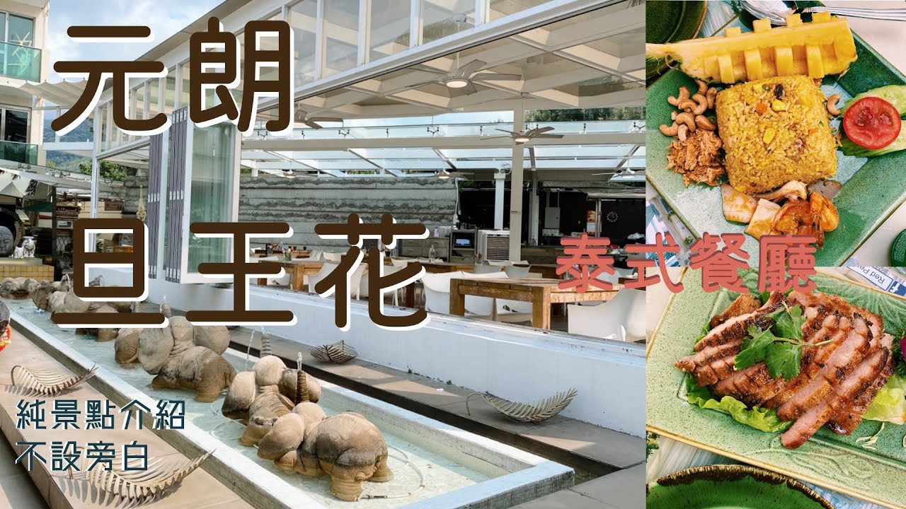 泰想食元朗泰特色餐廳 旦王花 元朗 泰國菜 香港好去處 Youtube