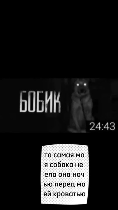 мем бобик - YouTube