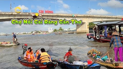 Việt Nam| Explore Cai Rang Floating Market| Trài Nghiệm Chợ Nổi Cái Răng Cần Thơ 