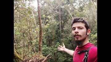 Thoughts in Nature: Wu Wei, The Path of Least Resistance