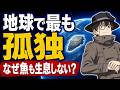 【地図でわかる】地球上で最も孤独な海「ポイント・ネモ」なぜ魚も生息できない?