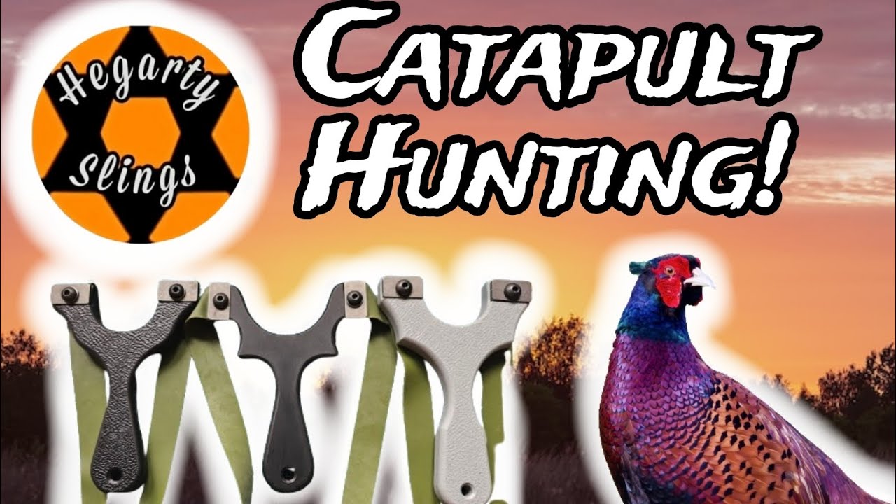 Hegarty Slings First Look CATAPULT SLINGSHOT HUNTING! YouTube