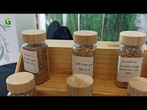المستقبل الأخضر داخل جناح إكساد تنمية زراعية ذكية ومستدامة لمواجه تحديات الجفاف بالوطن العربي