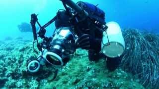 Underwater Photo Marathon 2014