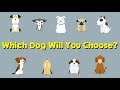 The Dog You Pick Will Reveal Your True Personality