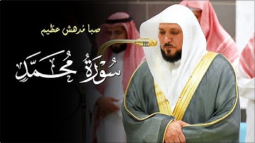 من مهبط الوحي 🕋 | يتجلى الشيخ د. ماهر المعيقلي بالصبا الشهير الحزين في تلاوة مؤثرة من سـورة محمد