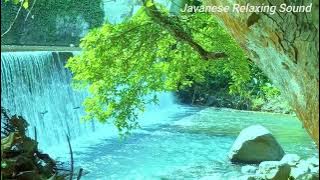 Suara Air Gemericik Untuk Semua Burung Macet Bunyi - Suara Air Terapi Burung