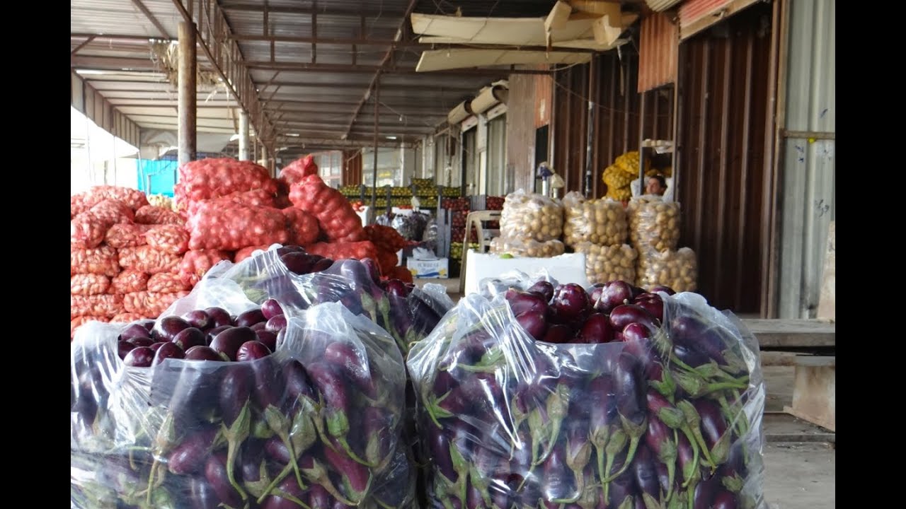 شاهد| مزادات يومية تحدد أسعار الخضار والفواكه في شمال غربي سوريا | صباح سوريا