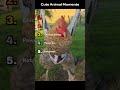 Hilarious Animal moments😂 #shorts