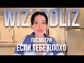 Посмотри, если плохо | Русская озвучка Wizardliz 🎥