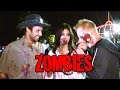 Joe Goes To The Zombie Walk