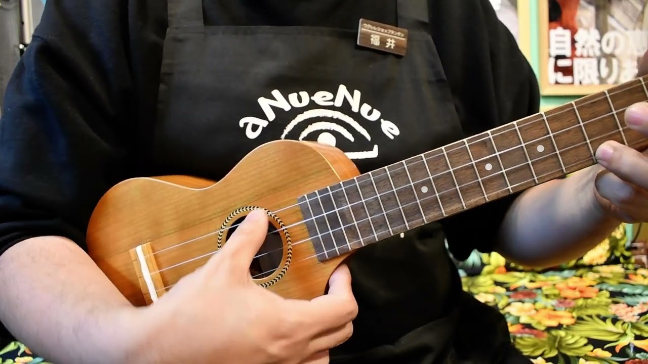 NEW/Famous FLS-11GC Soprano Longneck [Ochanomizu Store