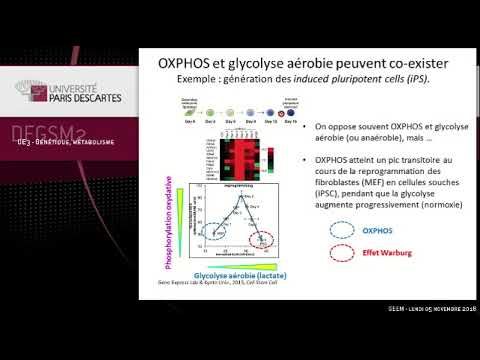 Vidéo: Contrôle De L'expression Des Gènes Hétérologues Dans Les Usines De Cellules De Levure Sur Différents Substrats De Carbone Et à Travers Le Changement Diauxique: Une Comparaison