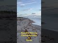 Beautiful Morning Chasing Pompano in Florida