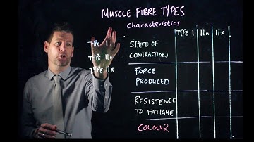 Video 25: GCSE PE: Muscle Fibre Types