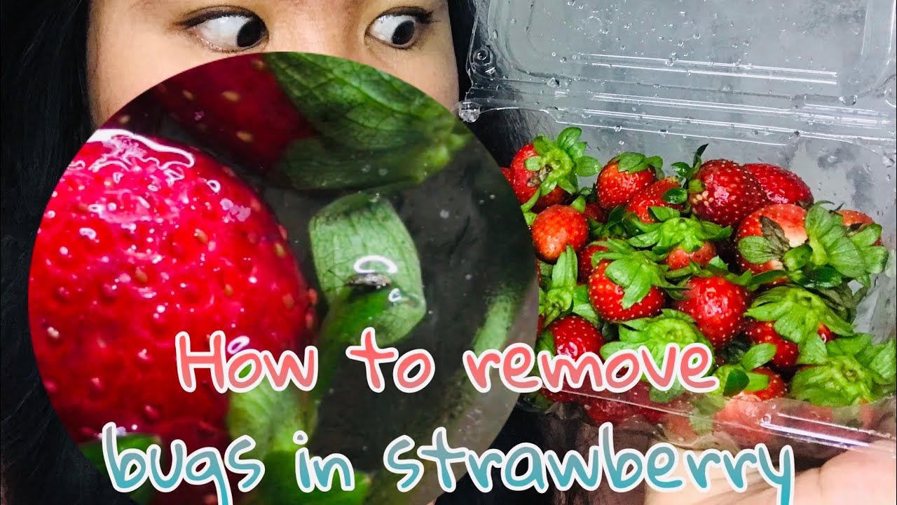 Tiktok Hacks How to clean your strawberry in a right way 🍓🍓🍓 KAMILA