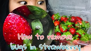 Tiktok hacks : how to clean your strawberry in a right way |
kamila’s vlog