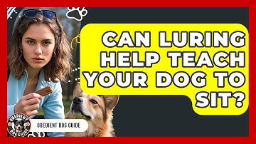 Can Luring Help Teach Your Dog To Sit? - Obedient Dog Guide