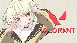 【Valorant 】お久しぶりヴァロw/てと先輩【ネ…