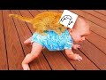 lil babies funny videos 😂 | #funny #meme #viral #baby