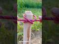 Constrictor hitch knot! !