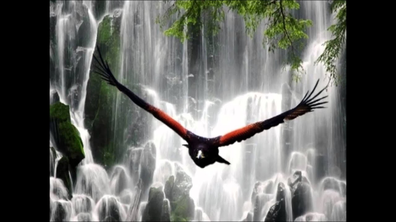 5 Minute Power Nap Series Waterfall YouTube 5-minute-power-nap-series-waterfall-youtube