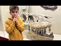 Приключения Левы и Глеба в музее с динозаврами