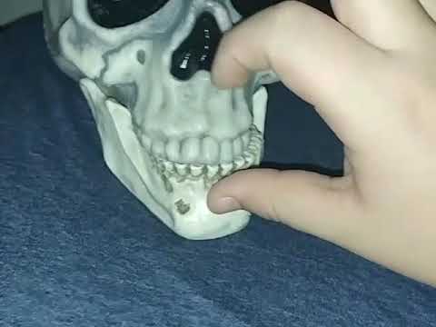 Mr Skeleton Youtube - mr skeleton roblox