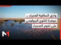 Wadi Saguia El Hamra A Jewel Of Biodiversity On The Edge Of The Sahara 