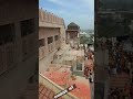       barsana holi  laddu holi barsana  ptv hindustan