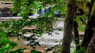 Summer Spread & Bird Sounds for Deep Sleep | 若葉風 Wakaba-Kaze | Fresh Leaf Breeze (3 Hours) screenshot 2