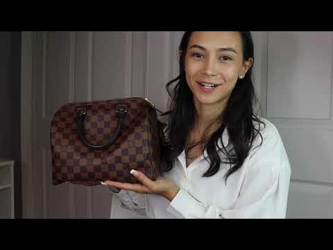 LOUIS VUITTON Damier Ebene Speedy 25 Handbag