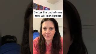 Baxter the cat tells me free will is an illusion