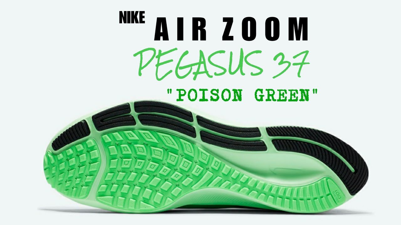 pegasus 37 green