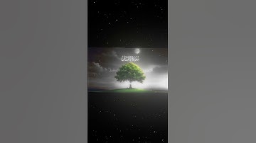 سورة الإنسان|18-22|القارئ:#محمد_اللحيدان #قران #quran #راحة_نفسية #قران_كريم#تلاوة_هادئة#تلاوة_خاشعة