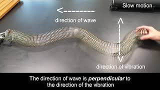 Transverse wave using slinky coil