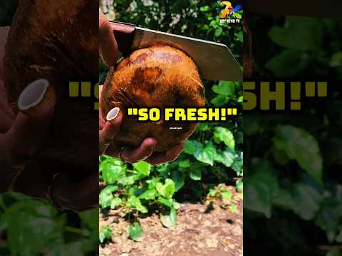 Fresh Coconut ASMR You Need to Watch! 🥥💧