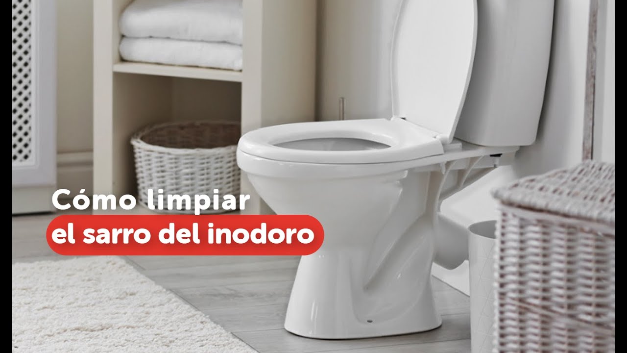 Un inodoro y un baño en perfectas condiciones de limpieza